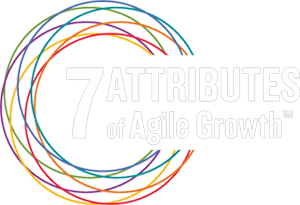 7 Attributes of Agile Growth
